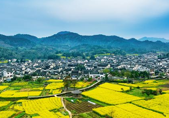 “認(rèn)養(yǎng)農(nóng)業(yè)”和“訂單農(nóng)業(yè)”，可...