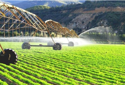 趨勢(shì)｜未來(lái)農(nóng)業(yè)發(fā)展新模式 “定...